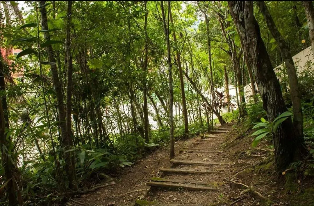 Apartmán Ape Da Gabi Balneário Camboriú
